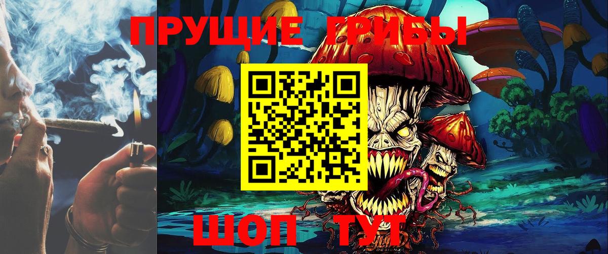 Галлюциногенные грибы Psilocybe  Вход с VPN  Саяногорск 