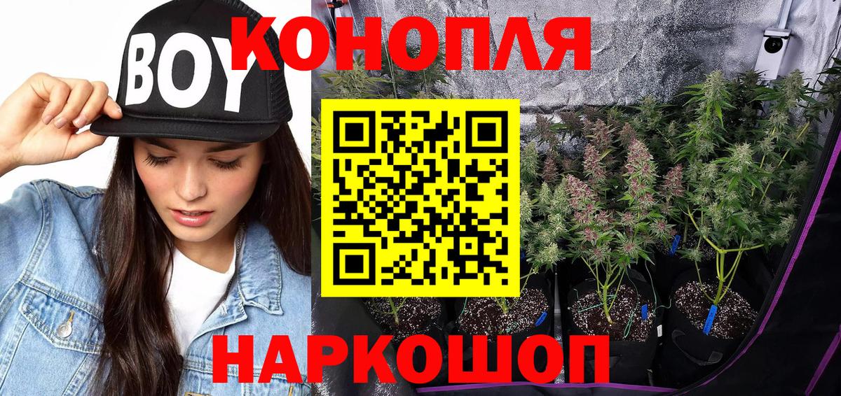 МАРИХУАНА планчик  Вход с VPN  Шишки марихуана гибрид  Саяногорск 